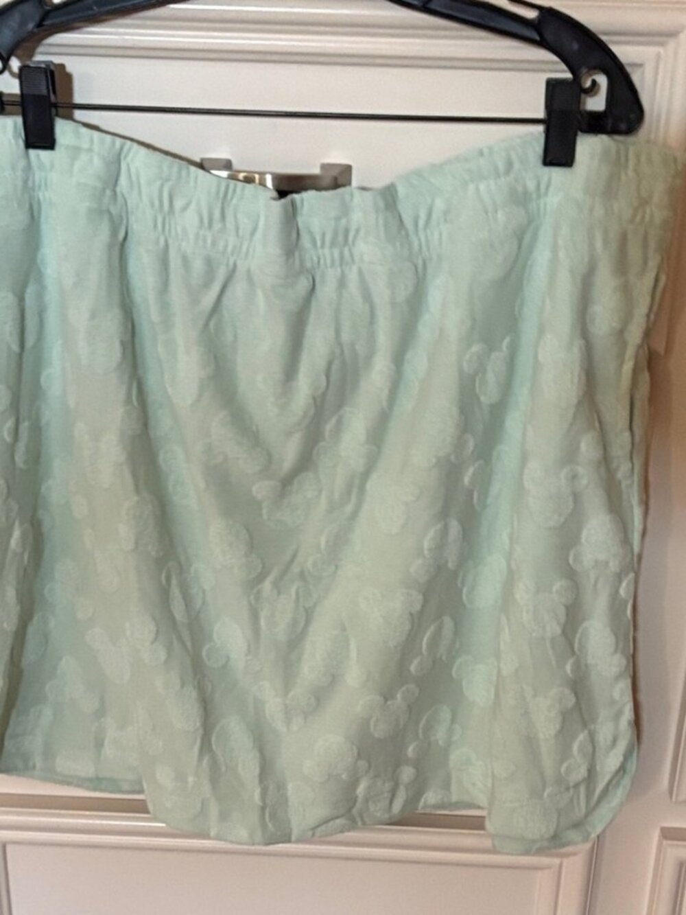 Mint Green Mini Skirt